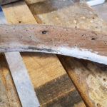 One of the outer linings riddled with worm, this was replaced