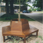 Iroko tree seat at Monkton Combe prep school bath