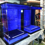 trophy Cabinets for Bath Rugby