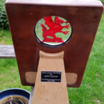 trophy with resin in mahogany