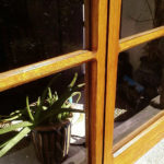 window in oak windows web